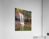 Douglas Falls near Blackwater Canyon trail near Thomas WV  Acrylic Print