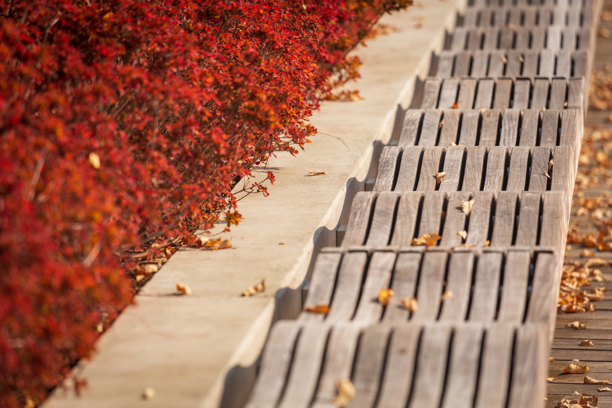 Impression de cadre personnalisé