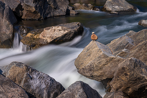 Pebbles balanced on rocks in raging river illustrating resilienc