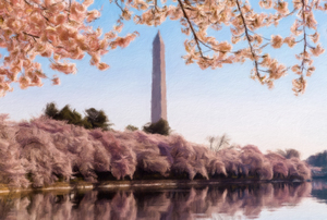 Digital art of the Washington Monument towering above blossoms