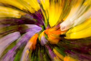 Flower blossoms in curling pattern