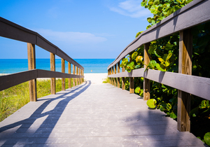 Boardwalk pathway among sea oats to beach in Florida