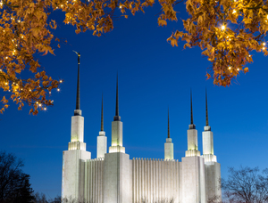 Mormon temple in Washington DC with xmas lights