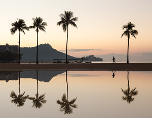 Sunrise over ocean with palm trees