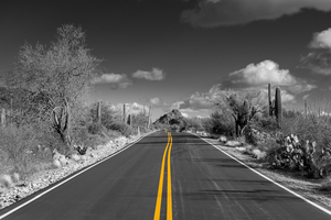 The road goes on for ever