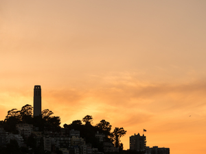Coit tower at sunset in San Francisco
