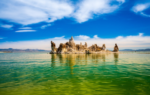 Tufa in the salty waters of Mono Lake 