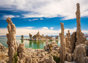 Tufa in the salty waters of Mono Lake