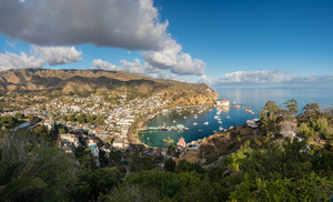 Bay of Avalon on Catalina Island