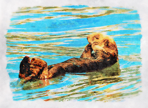 Digital watercolor of Sea Otter floating in the sea