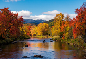 Saranac river flows through multi-colored fall landscape in Adir