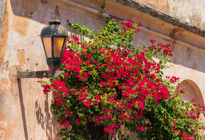 Street lamp in Unesco historical town of Colonia del Sacramento