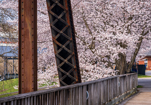 Steel girder bridge carries the bike walking trail over Deckers 