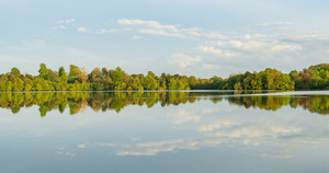 View across the Mere to a clear reflection of distant trees in E