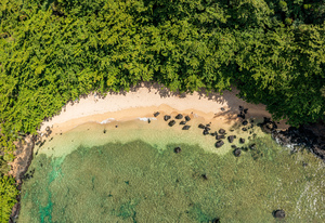 Aerial from above view of Sealodge beach in Princeville