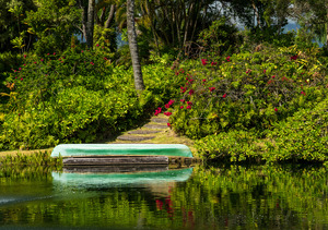 Green canoe on dock reflecting into calm lake or pond in garden