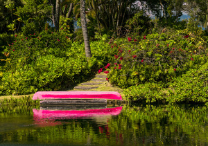 Red canoe on dock reflecting into calm lake or pond in garden