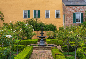 Small tree filled garden in French Quarter of New Orleans