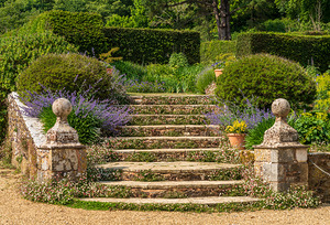 Stone steps into a hedged flower garden on the Isle of Wight