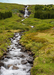 Waterfall in Tunhudalur valley near Isafjordur Iceland with lupi