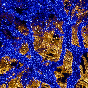 Holiday lights spectacular in Johnson City Texas