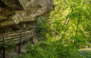 Board walk in Audra State Park near Buckhannon in West Virginia