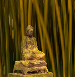 Buddha statue in bamboo forest