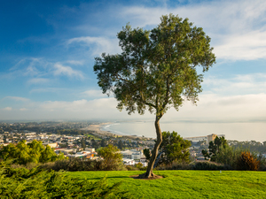 Panorama of Ventura from Grant Park