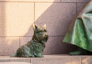 Pet dog at Roosevelt memorial Washington DC