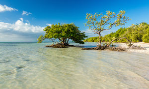 Florida Keys Annes Beach