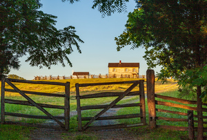 Henry House at Manassas Battlefield