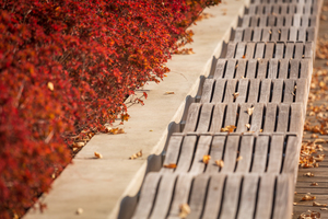 Modern wavy wooden bench in Yards Park