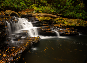 Waterfall on Deckers Creek near Masontown WV