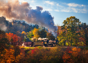 WMRR Steam train powers along railway