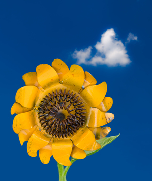 Metal sunflower against blue sky