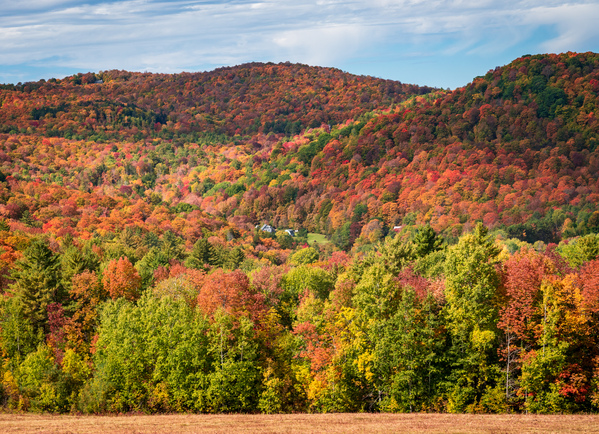 Multi-colored hillside in Vermont during the fall by Steve Heap