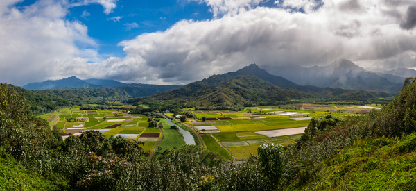 Panorama of Hanalei Valley on Kauai by Steve Heap