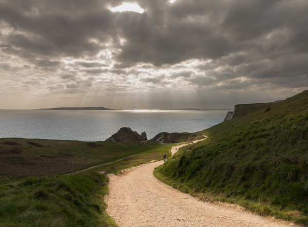 Pathway to the sunlight by ocean by Steve Heap