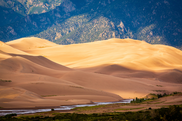 Detail of Great Sand Dunes NP  by Steve Heap