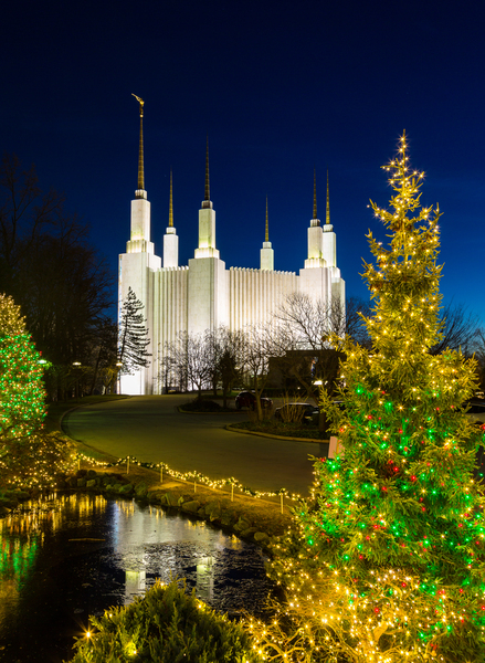 Mormon temple in Washington DC with xmas lights by Steve Heap