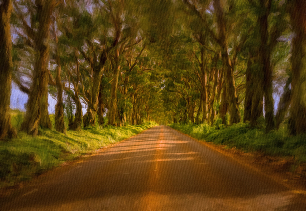 Painting of Tree Tunnel on Kauai by Steve Heap