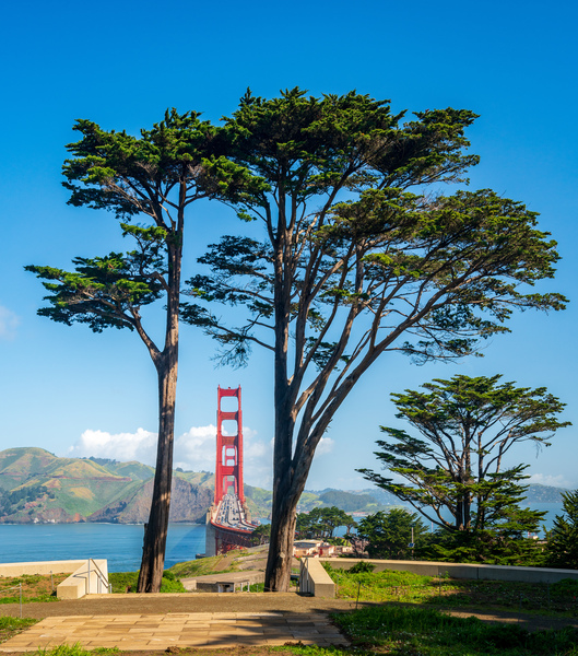 Golden Gate Bridge in San Francisco by Steve Heap