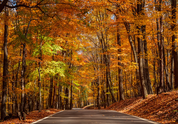 Road leading to Coopers Rock state park by Steve Heap