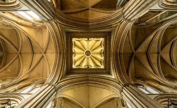 Detail of roof in Truro cathedral in Cornwall by Steve Heap