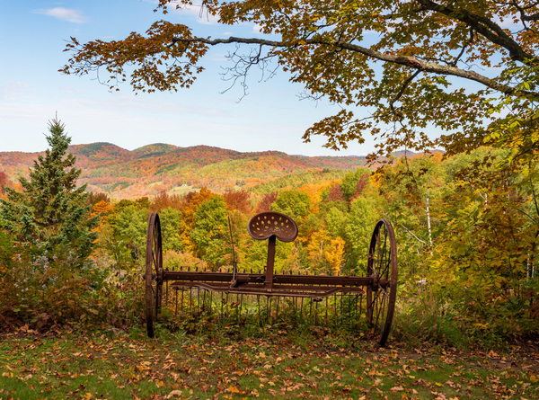 Horse drawn rake by fall colors in Vermont by Steve Heap