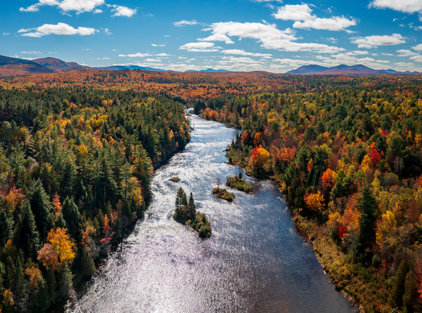 Saranac river flows through multi-colored fall landscape in Adir by Steve Heap