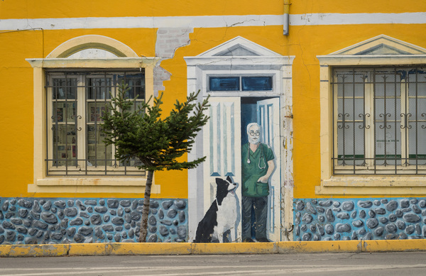 Wall mural on building in Punta Arenas in Chile by Steve Heap