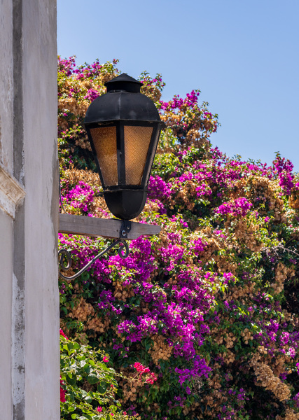 Street lamp in Unesco historical town of Colonia del Sacramento by Steve Heap