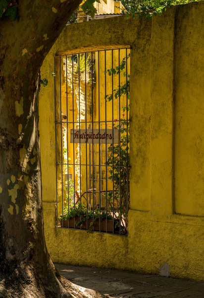 Window to courtyard of antique shop in Colonia del Sacramento by Steve Heap
