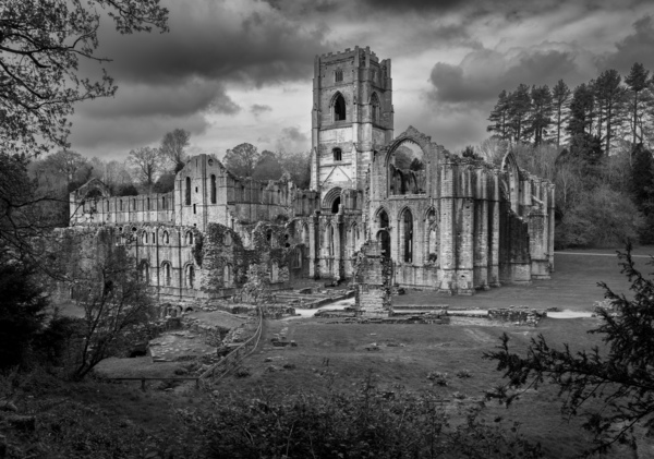 Monochrome view of Fountains Abbey ruins in Yorkshire England by Steve Heap